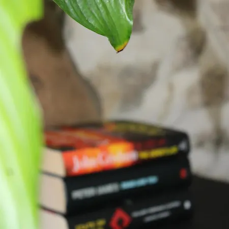 Fig Tree 1 X Super King Or 2 X Single Beds