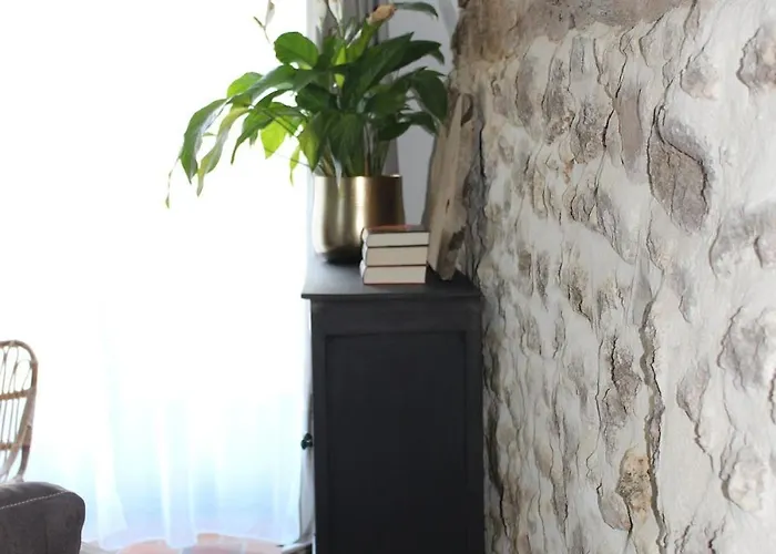 Fig Tree 1 X Super King Or 2 X Single Beds * Busserolles