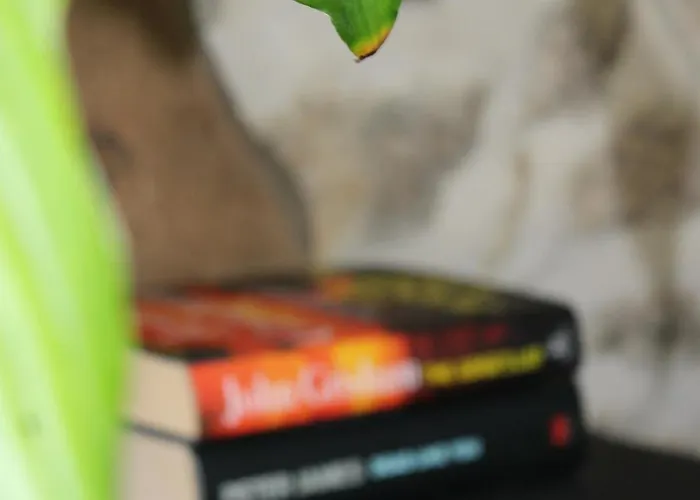 Fig Tree 1 X Super King Or 2 X Single Beds